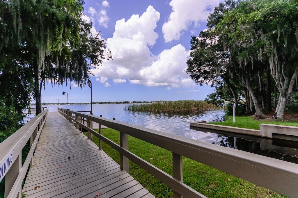 3964 SILK OAK LN, PALM HARBOR, FL, 34685