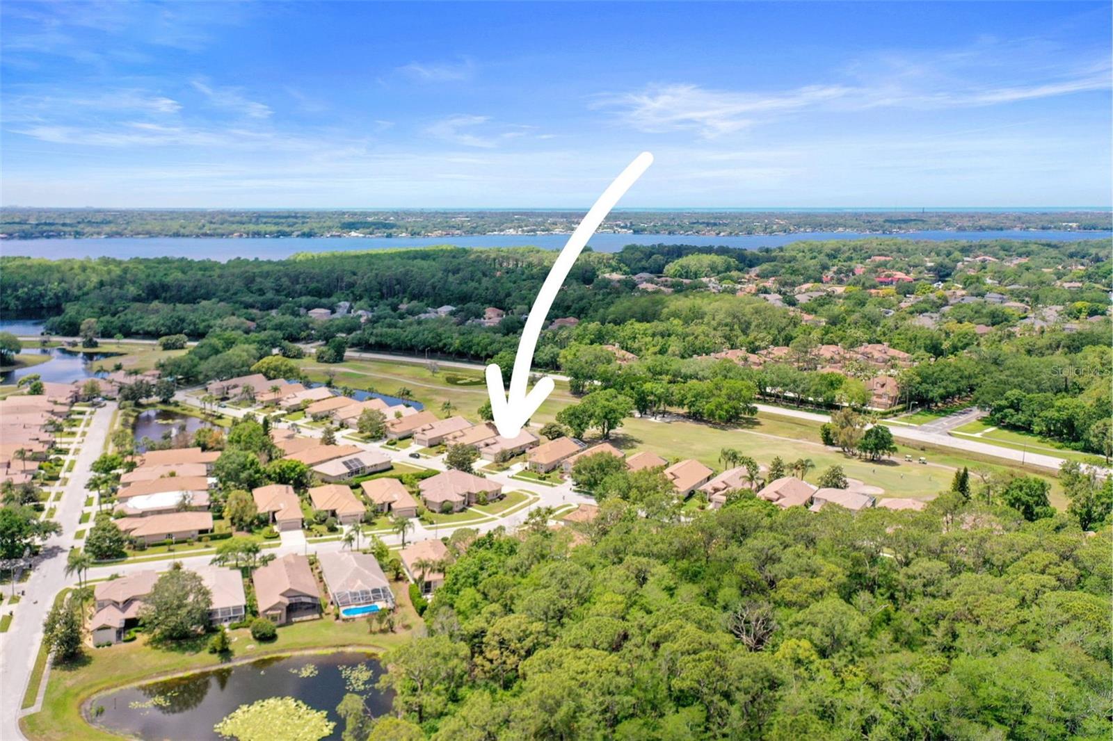 3964 SILK OAK LN, PALM HARBOR, FL, 34685