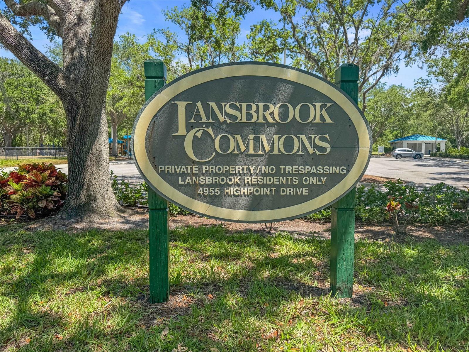 3964 SILK OAK LN, PALM HARBOR, FL, 34685