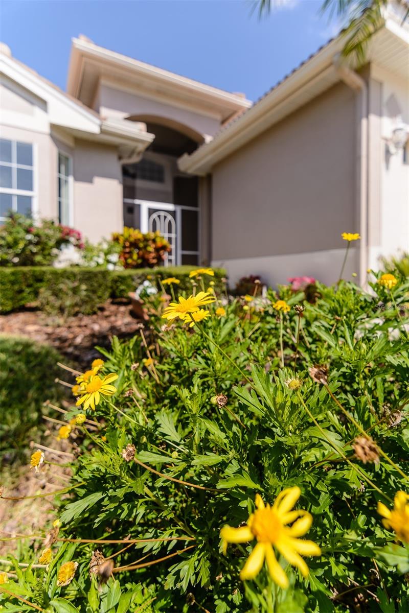 3964 SILK OAK LN, PALM HARBOR, FL, 34685