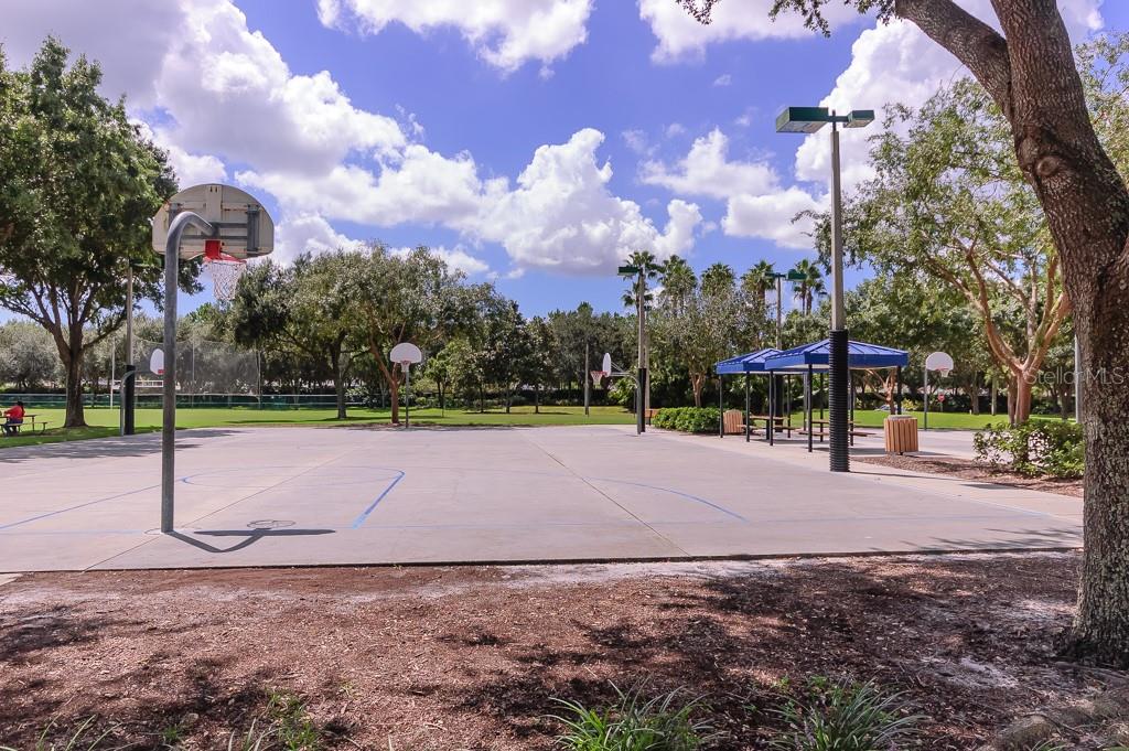 3964 SILK OAK LN, PALM HARBOR, FL, 34685