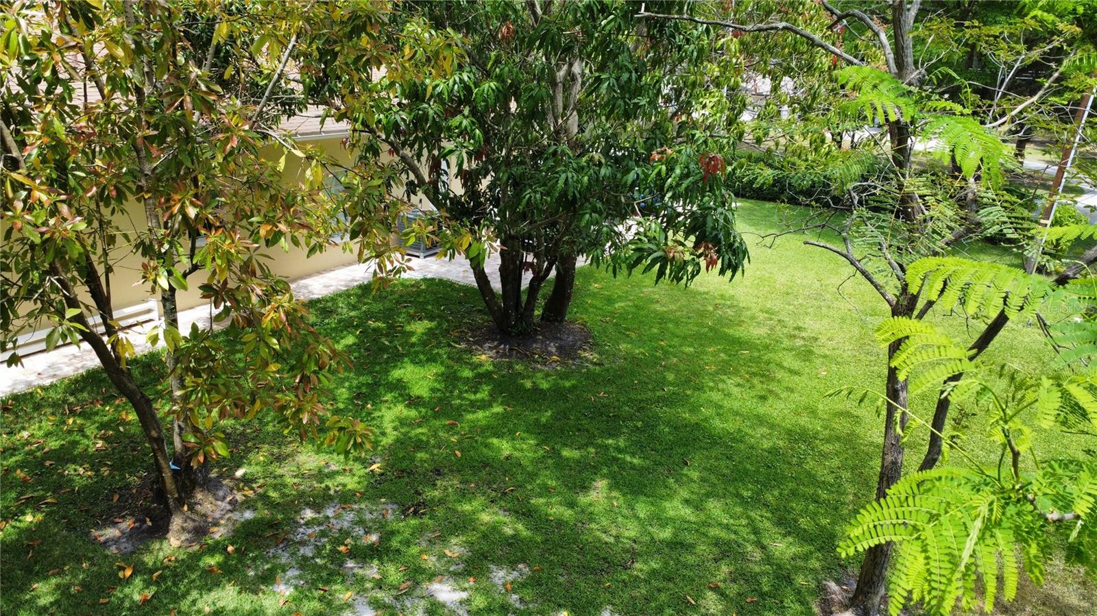 3410 MORAN RD, TAMPA, FL, 33618