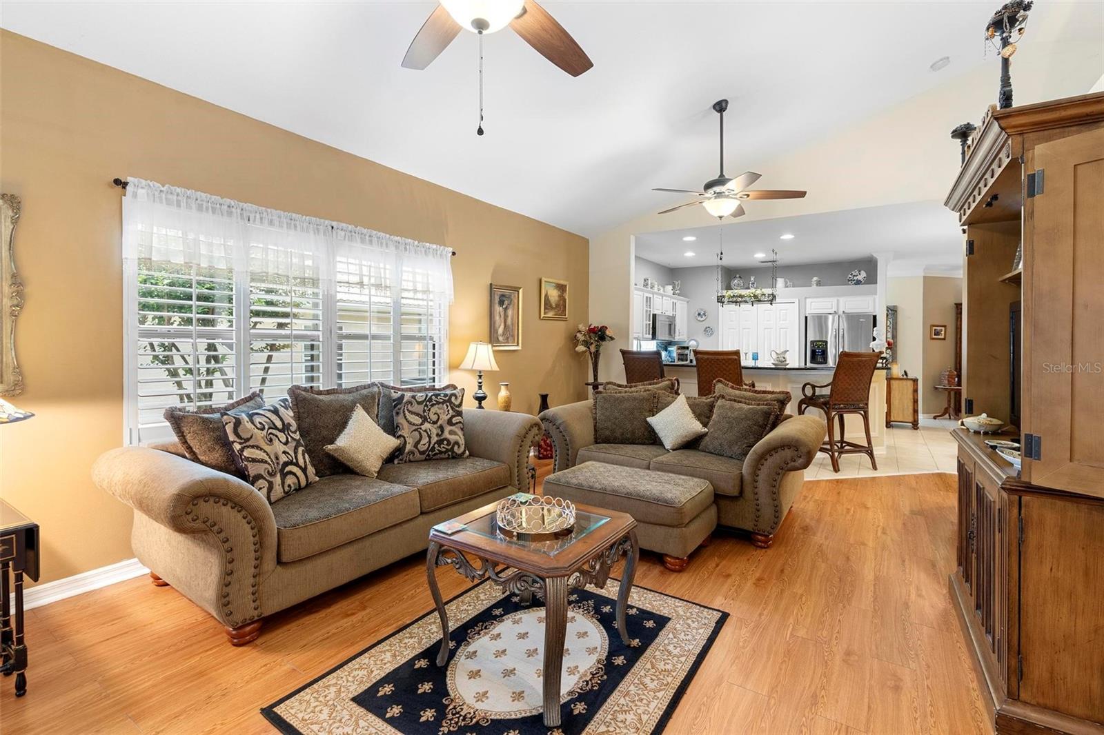 9049 SAINT ANDREWS WAY, MOUNT DORA, FL, 32757