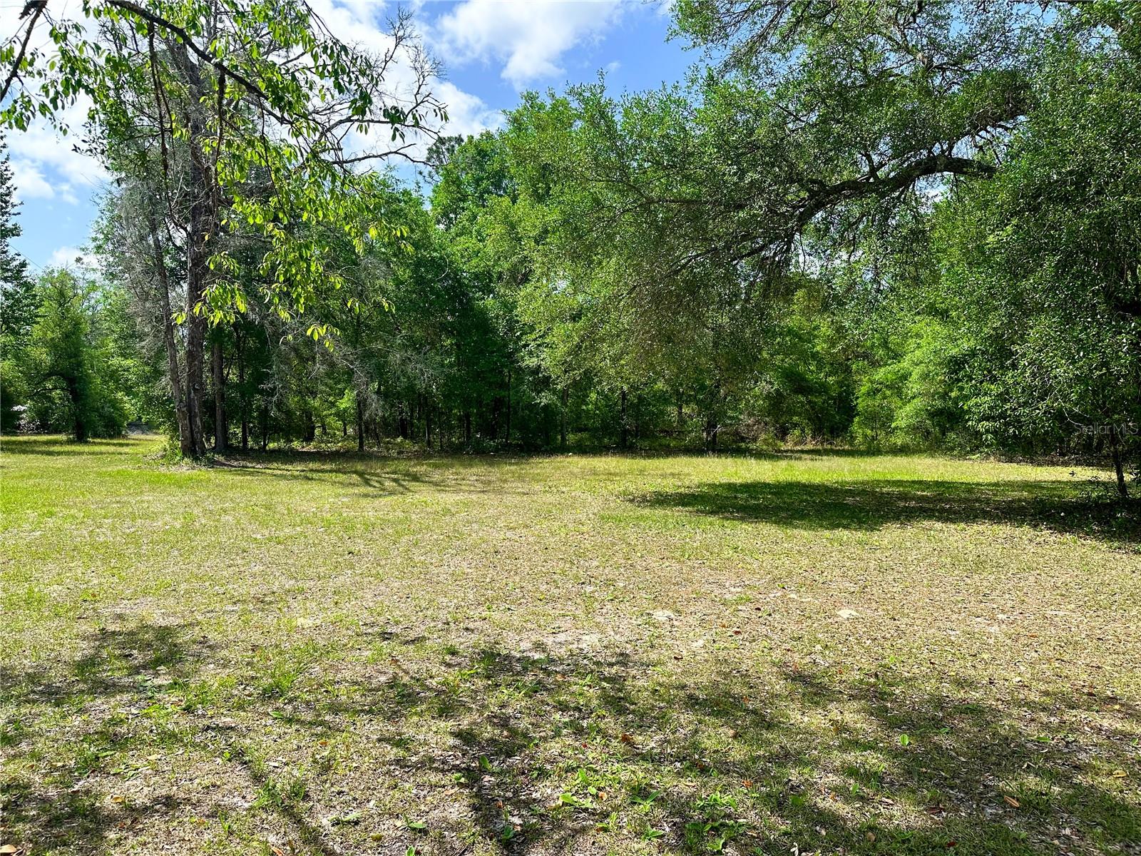 1345 SW CUMORAH HILL ST, FORT WHITE, FL, 32038