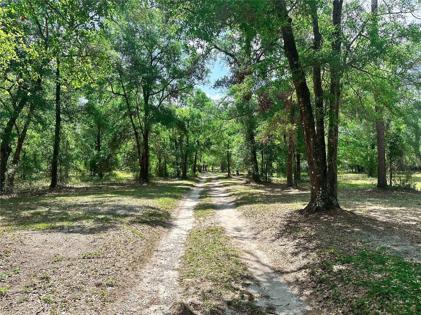 1345 SW CUMORAH HILL ST, FORT WHITE, FL, 32038