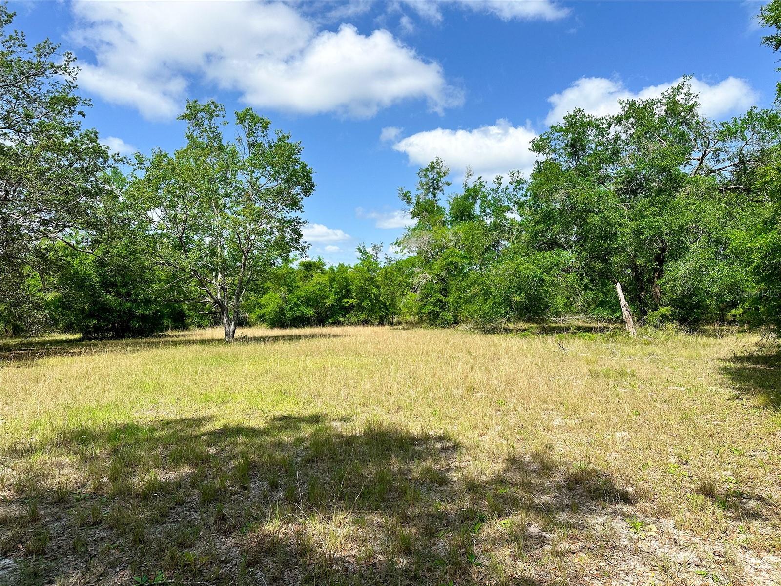 1345 SW CUMORAH HILL ST, FORT WHITE, FL, 32038