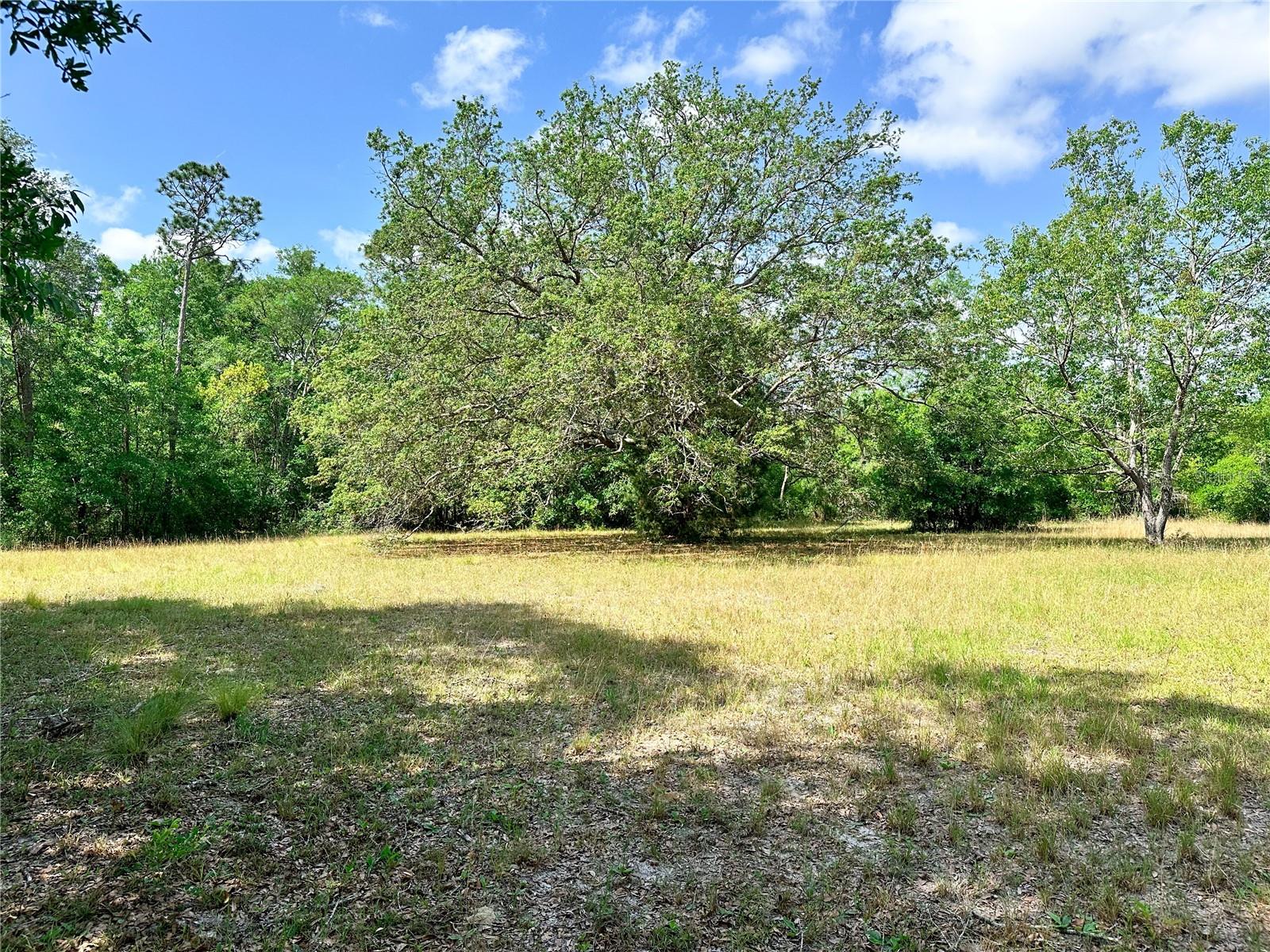 1345 SW CUMORAH HILL ST, FORT WHITE, FL, 32038