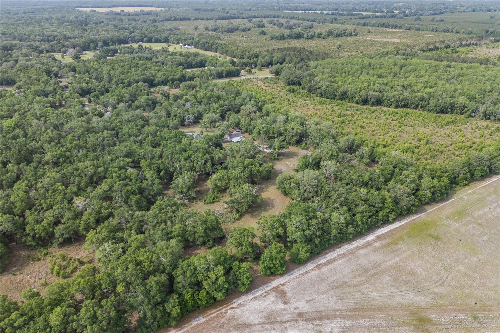 1345 SW CUMORAH HILL ST, FORT WHITE, FL, 32038