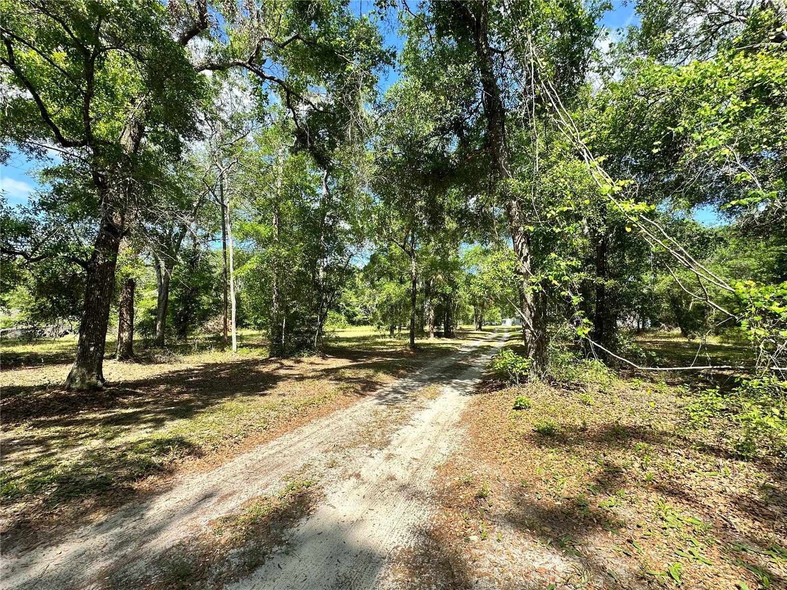1345 SW CUMORAH HILL ST, FORT WHITE, FL, 32038
