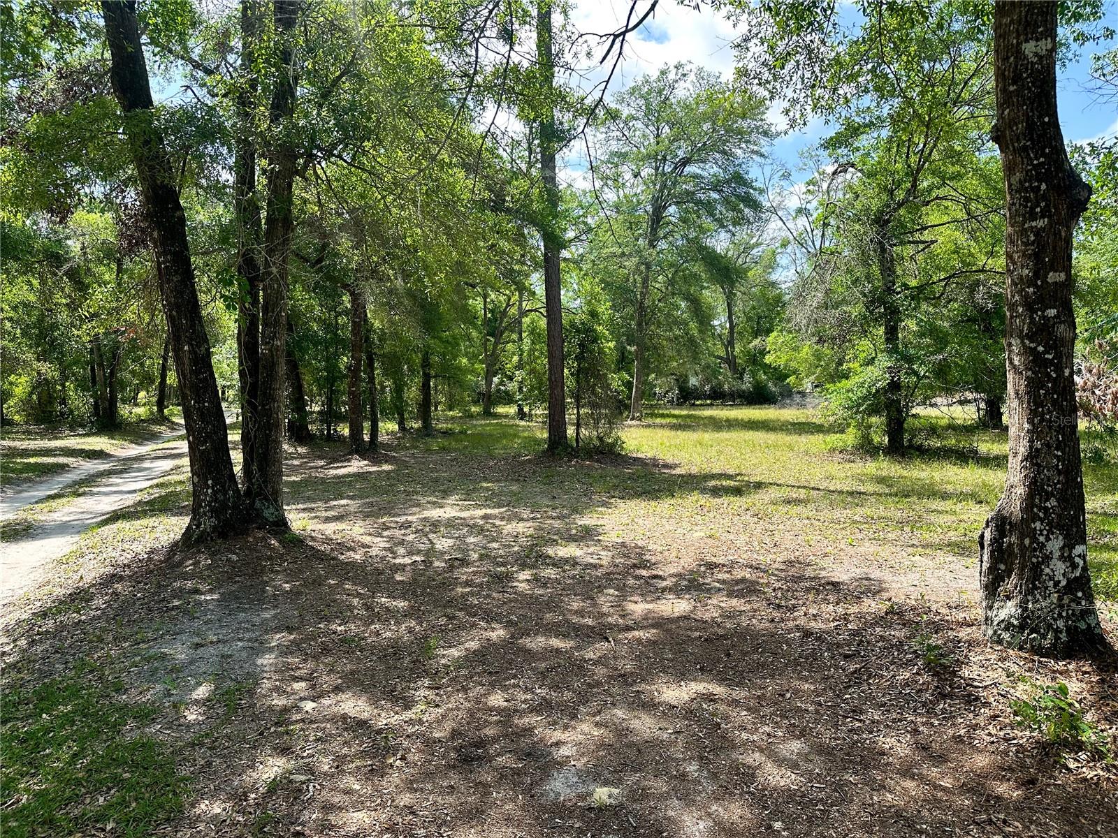 1345 SW CUMORAH HILL ST, FORT WHITE, FL, 32038