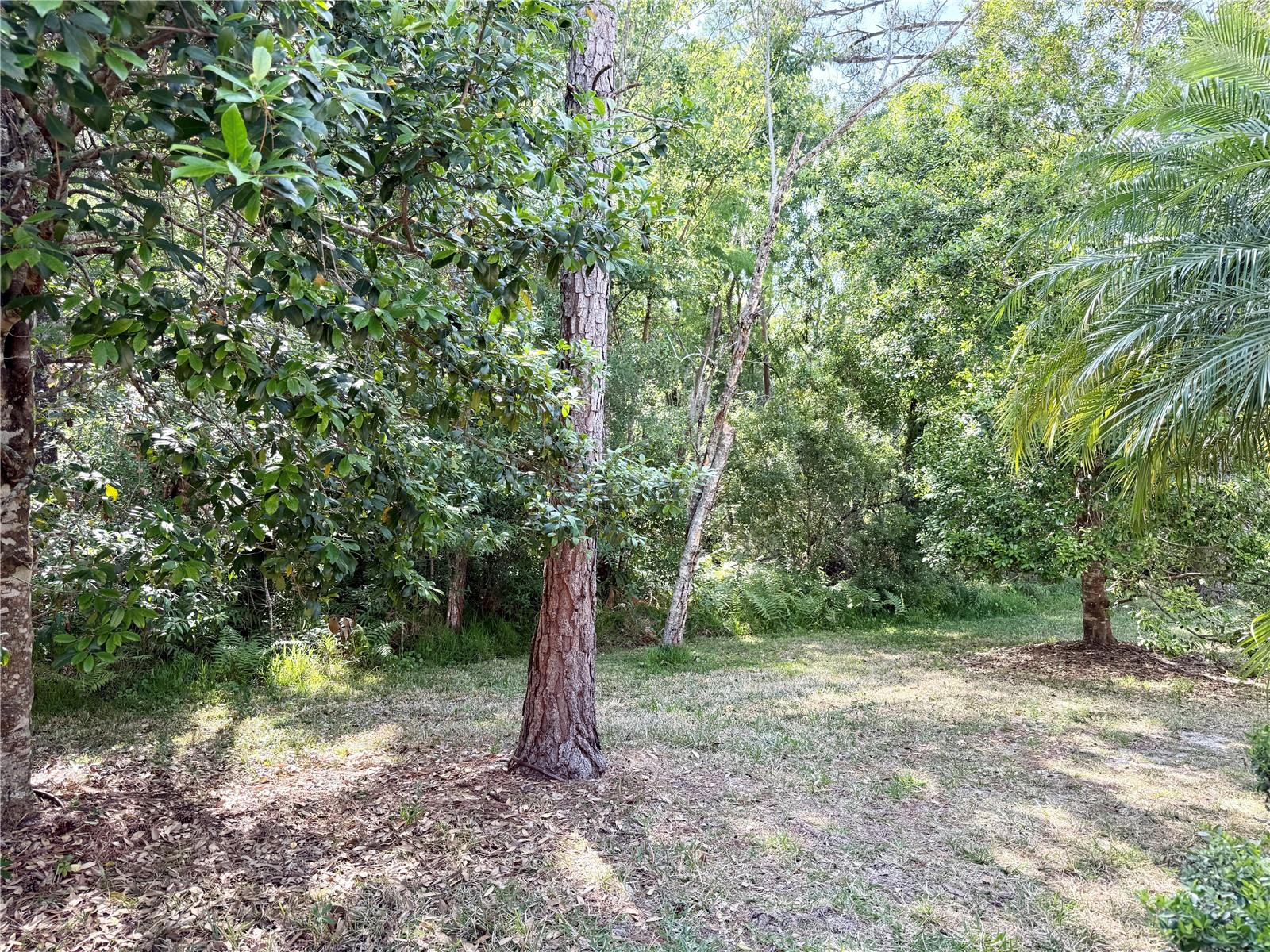 7704 TUSCANY WOODS DR, TAMPA, FL, 33647