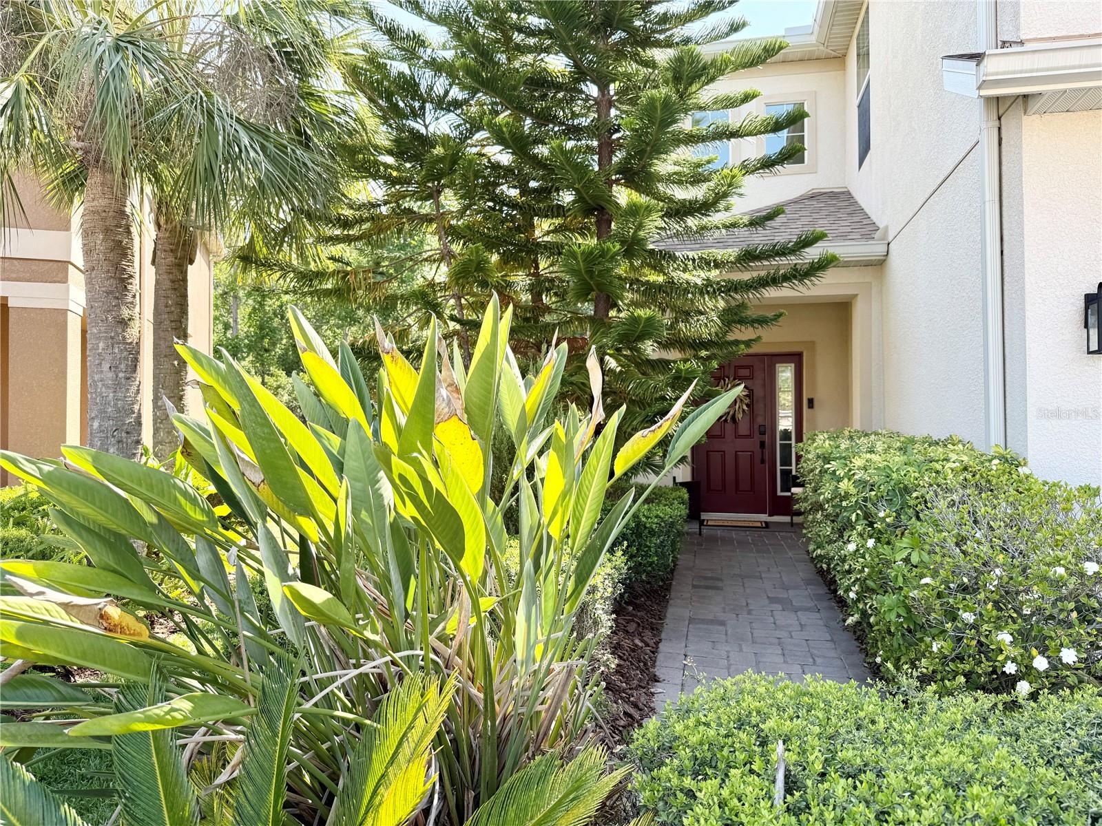 7704 TUSCANY WOODS DR, TAMPA, FL, 33647