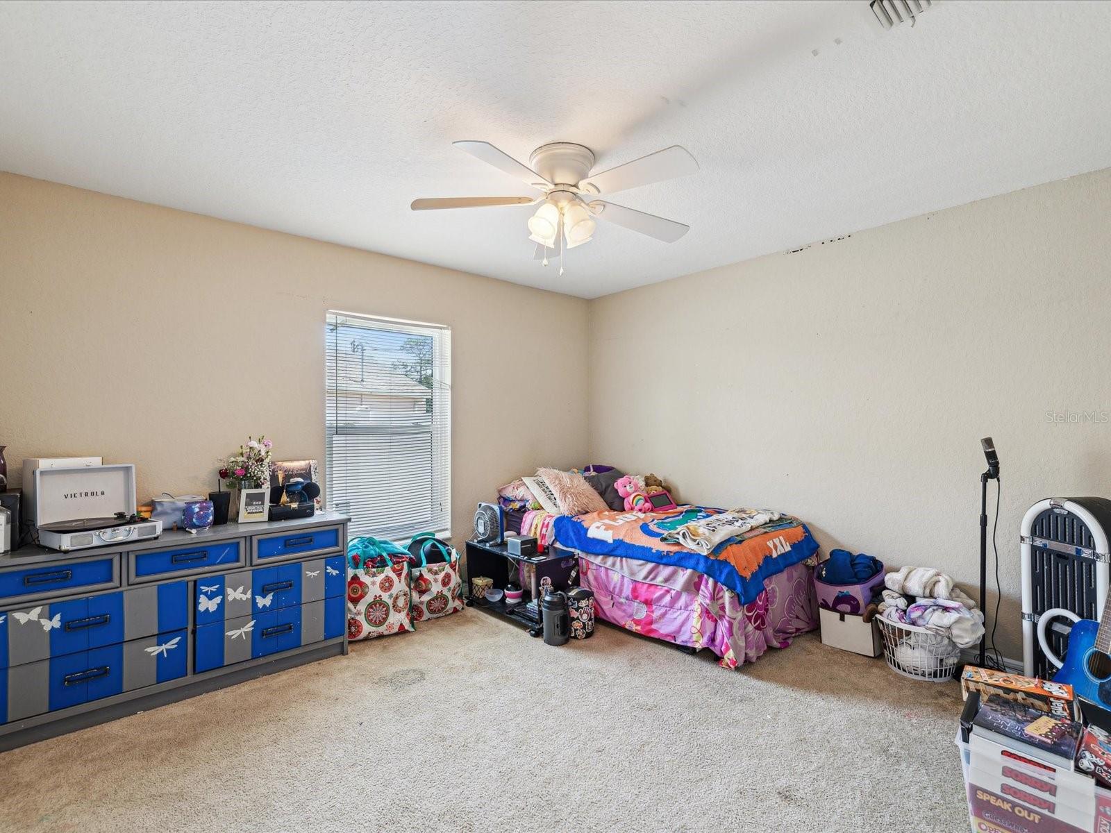 5341 BIRCHWOOD RD, SPRING HILL, FL, 34608