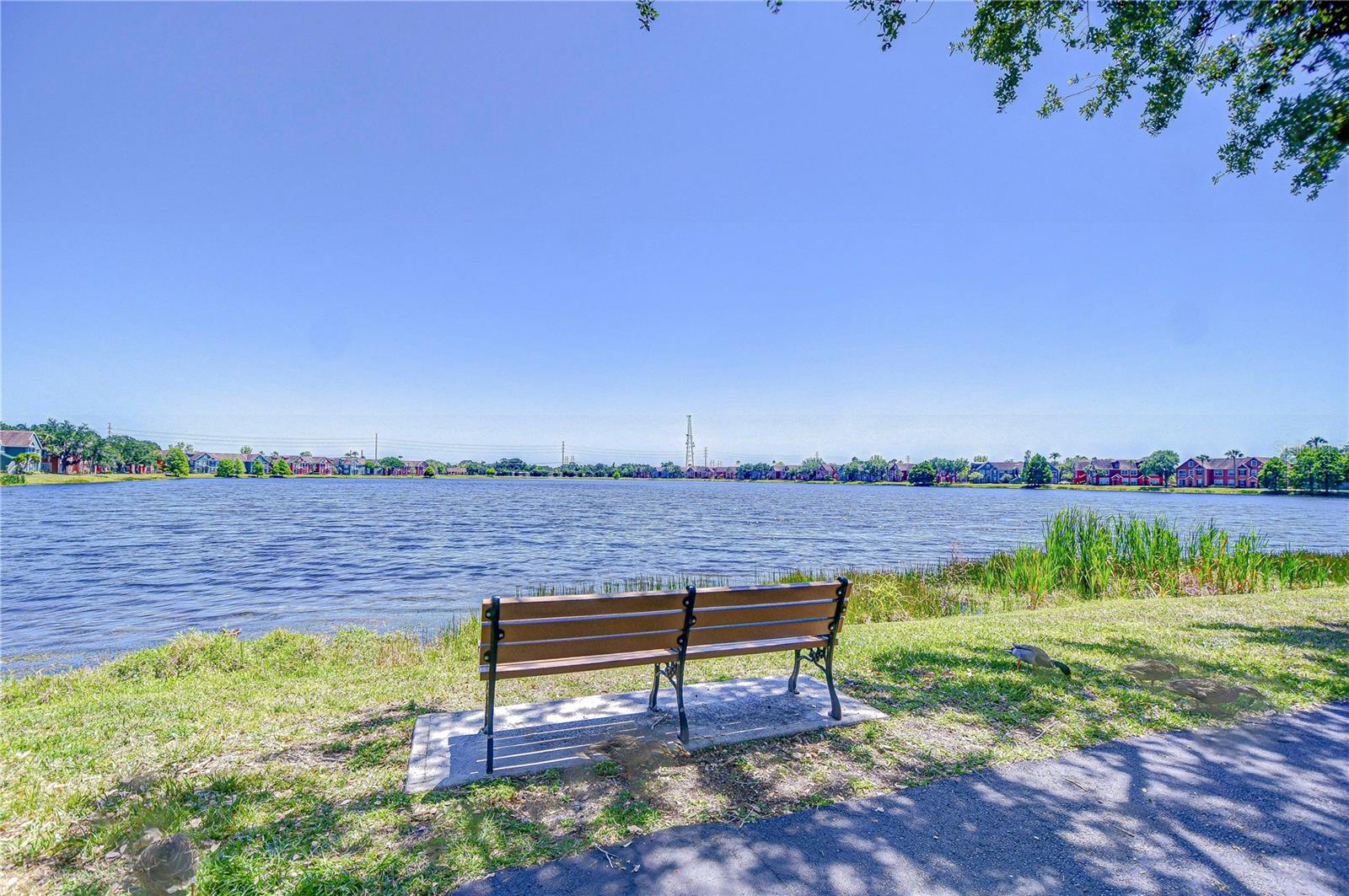 Come sit relax and enjoy this serene lake