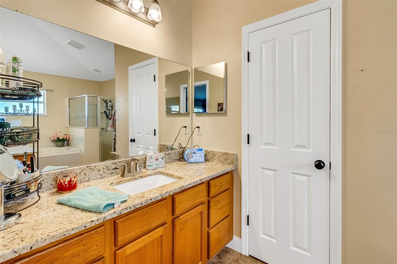 16905 HAWKRIDGE RD, LITHIA, FL, 33547