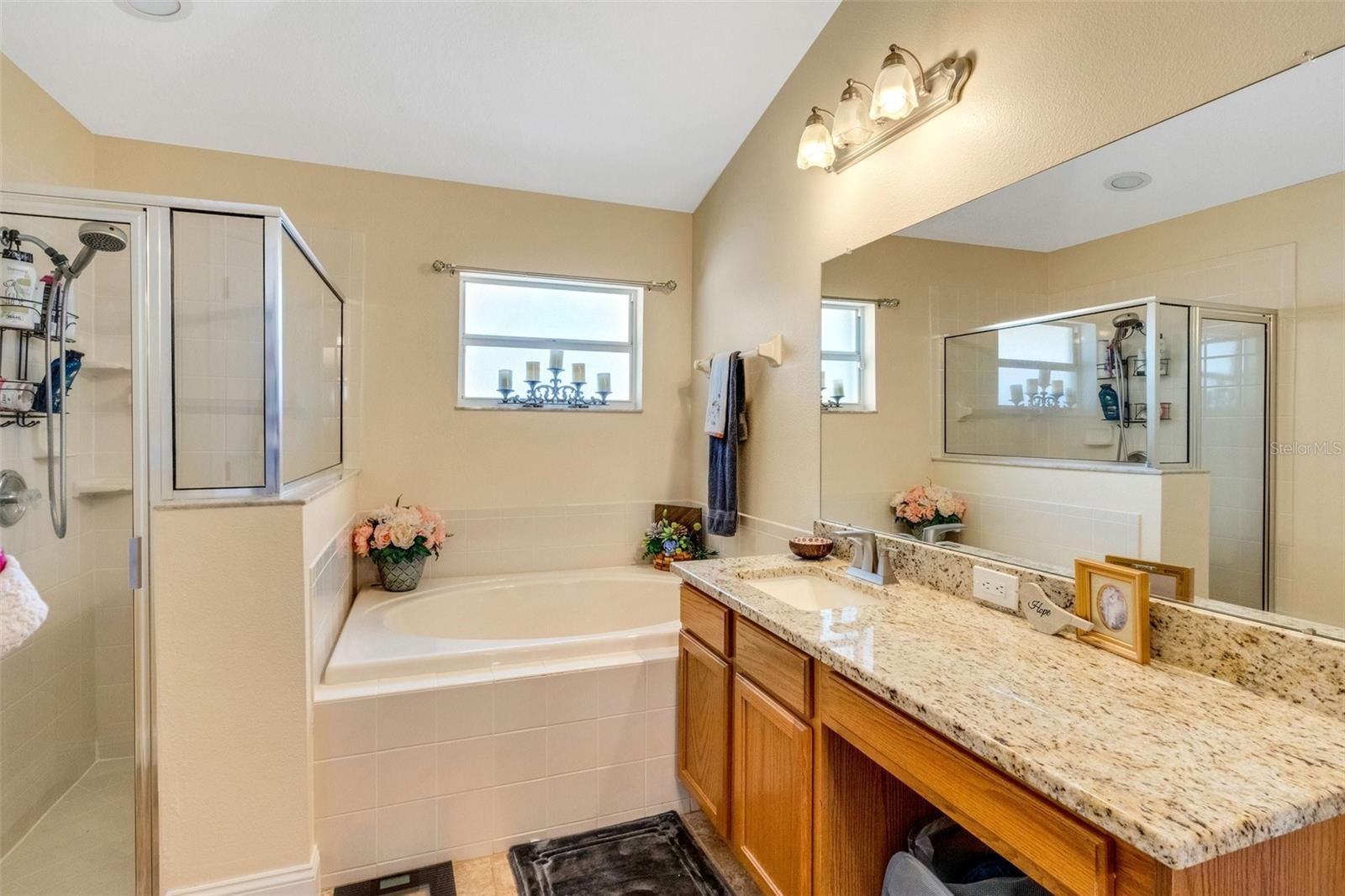 16905 HAWKRIDGE RD, LITHIA, FL, 33547