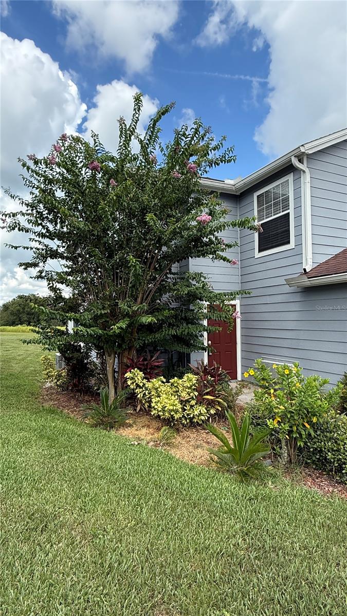343 CARIBBEAN DR, DAVENPORT, FL, 33897