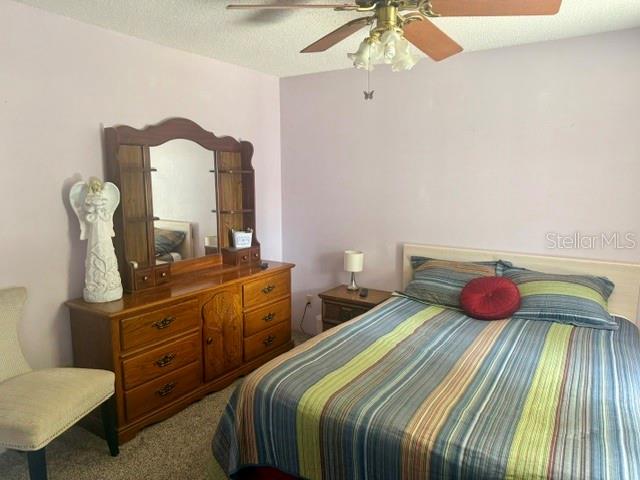 2612 UMBRELLA TREE DR, EDGEWATER, FL, 32141