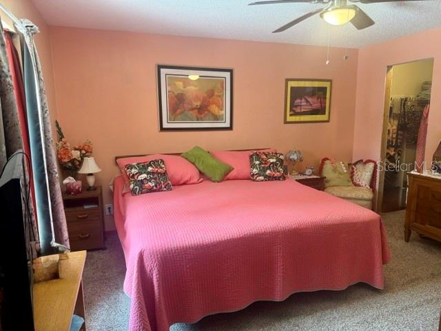 2612 UMBRELLA TREE DR, EDGEWATER, FL, 32141