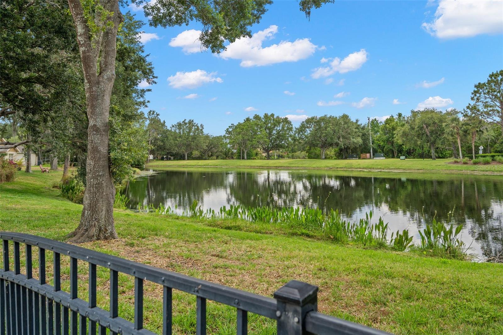 15417 MARTINMEADOW DR, LITHIA, FL, 33547