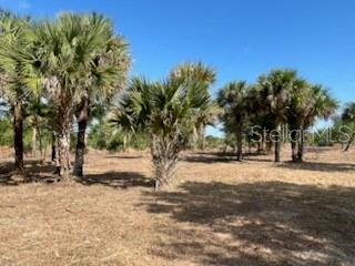 16642 NW 286TH ST, OKEECHOBEE, FL, 34972