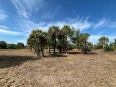 16642 NW 286TH ST, OKEECHOBEE, FL, 34972