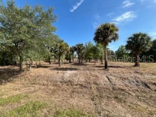 16642 NW 286TH ST, OKEECHOBEE, FL, 34972