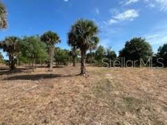 16642 NW 286TH ST, OKEECHOBEE, FL, 34972