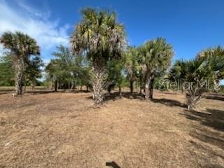 16642 NW 286TH ST, OKEECHOBEE, FL, 34972
