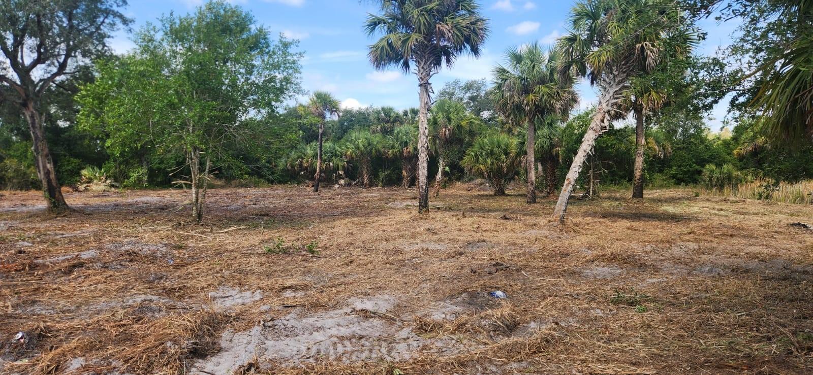 16642 NW 286TH ST, OKEECHOBEE, FL, 34972