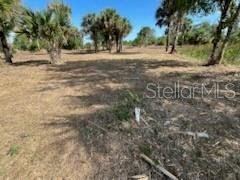 16642 NW 286TH ST, OKEECHOBEE, FL, 34972
