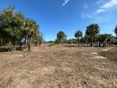 16642 NW 286TH ST, OKEECHOBEE, FL, 34972