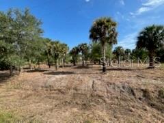 16642 NW 286TH ST, OKEECHOBEE, FL, 34972