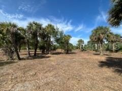 16642 NW 286TH ST, OKEECHOBEE, FL, 34972