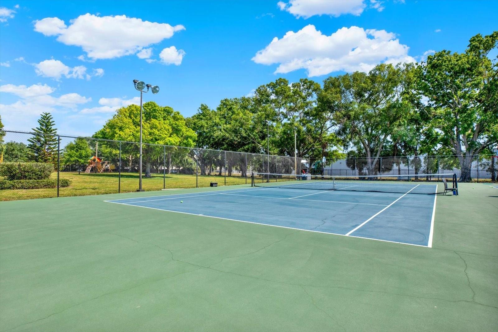 4219 LA DEGA CT, TAMPA, FL, 33611