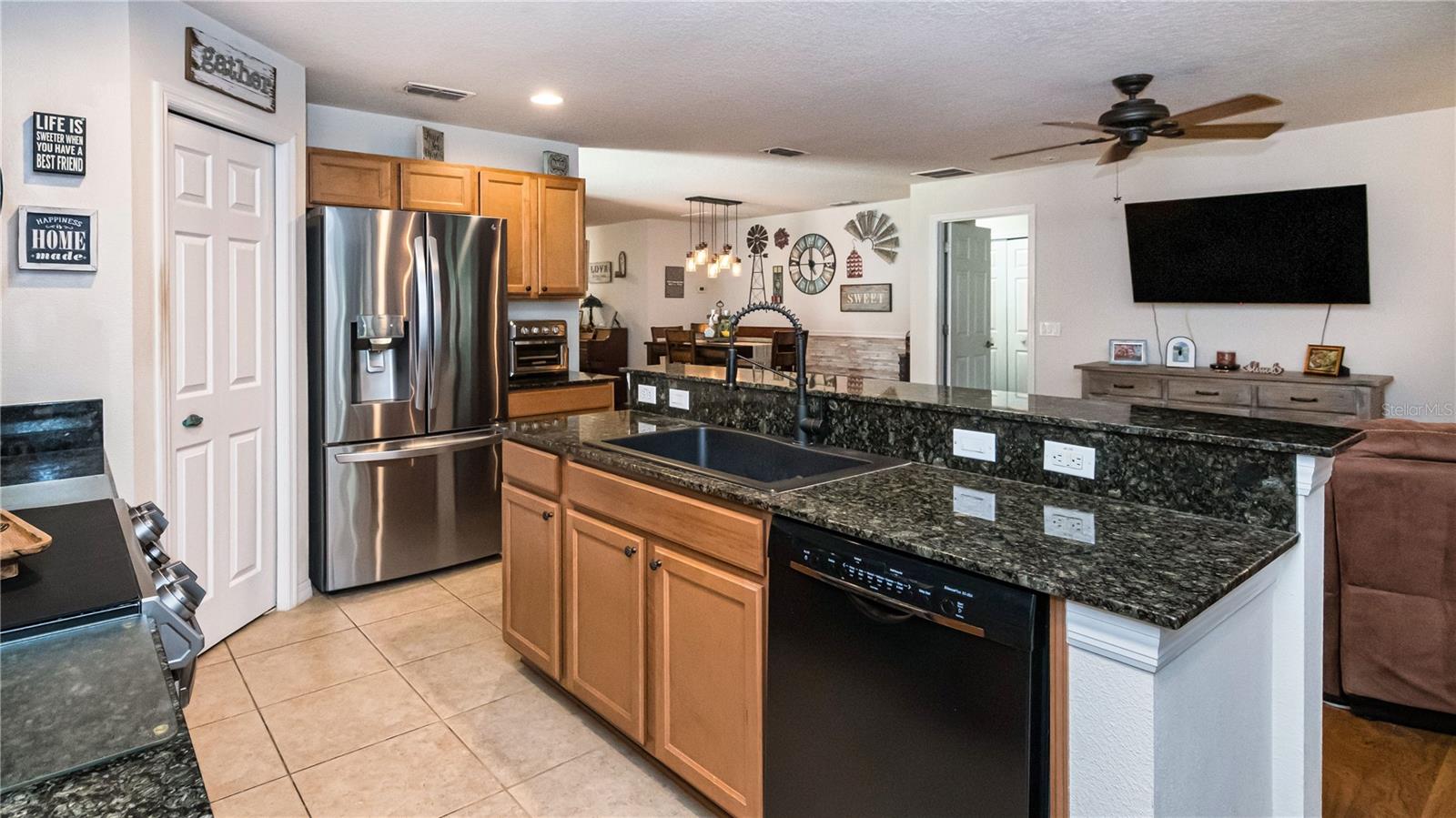 30546 LIPIZZAN TER, MOUNT DORA, FL, 32757