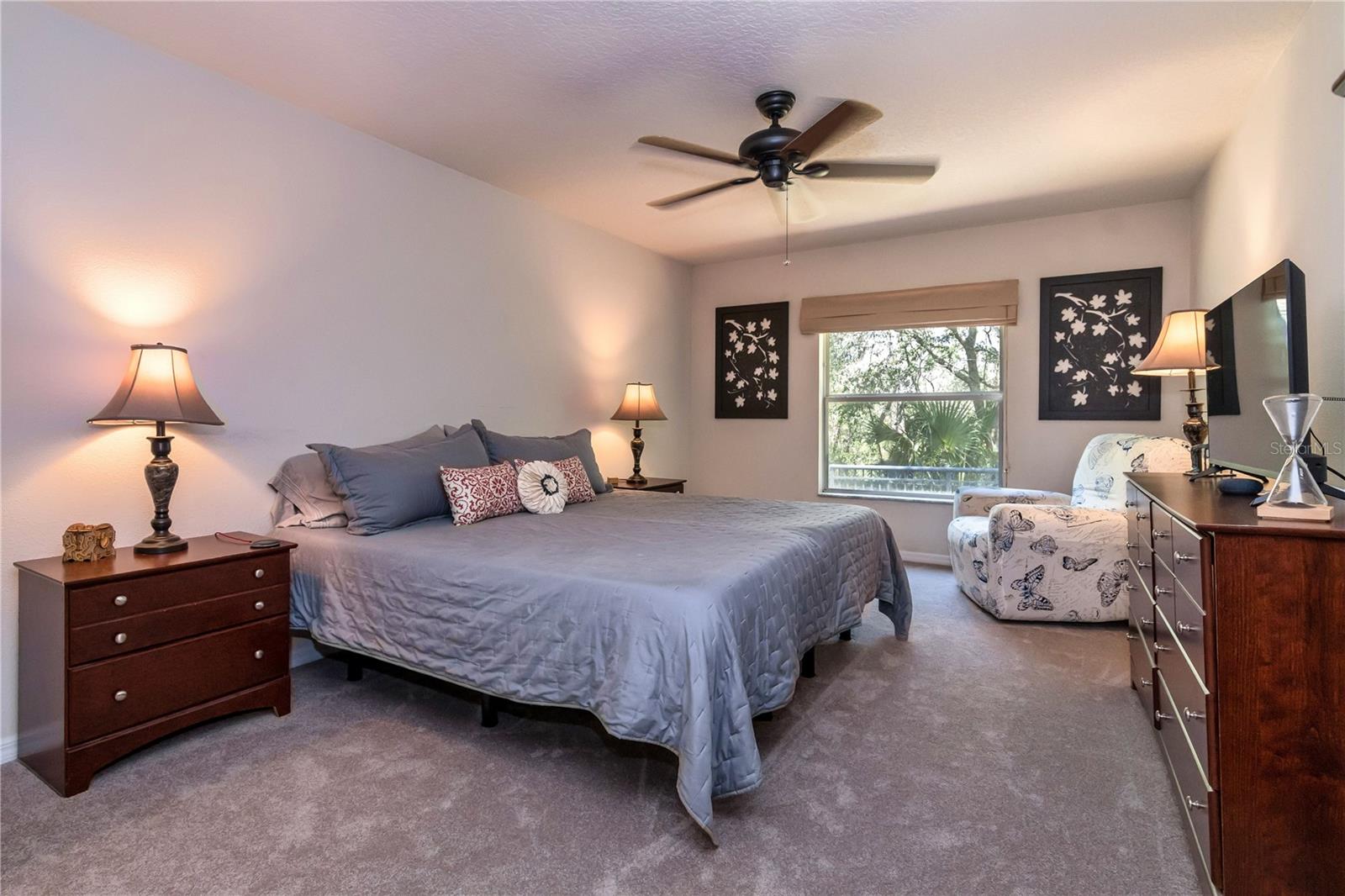 30546 LIPIZZAN TER, MOUNT DORA, FL, 32757