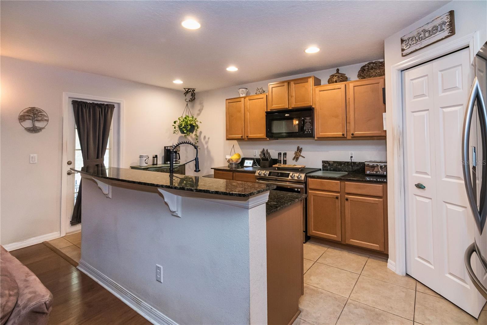 30546 LIPIZZAN TER, MOUNT DORA, FL, 32757