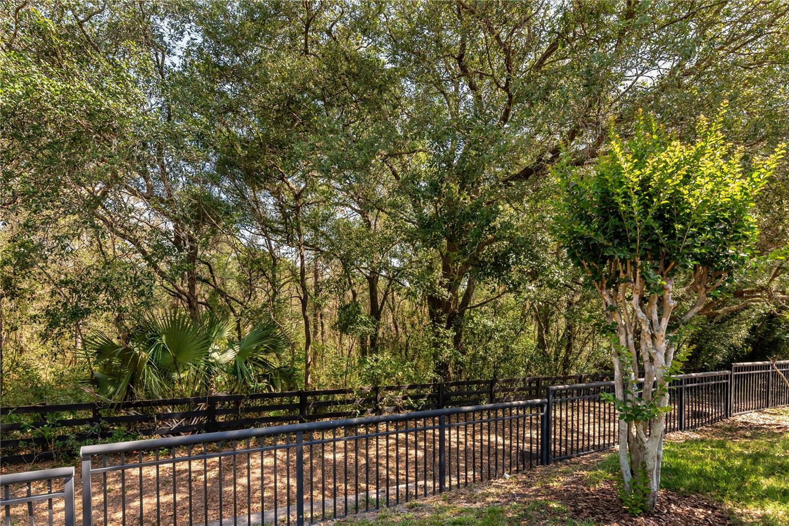 30546 LIPIZZAN TER, MOUNT DORA, FL, 32757