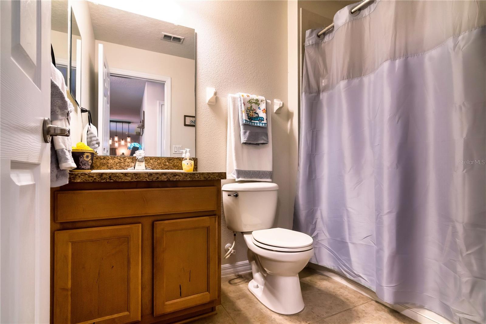 30546 LIPIZZAN TER, MOUNT DORA, FL, 32757