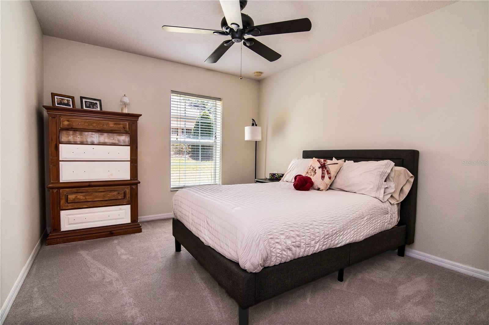 30546 LIPIZZAN TER, MOUNT DORA, FL, 32757