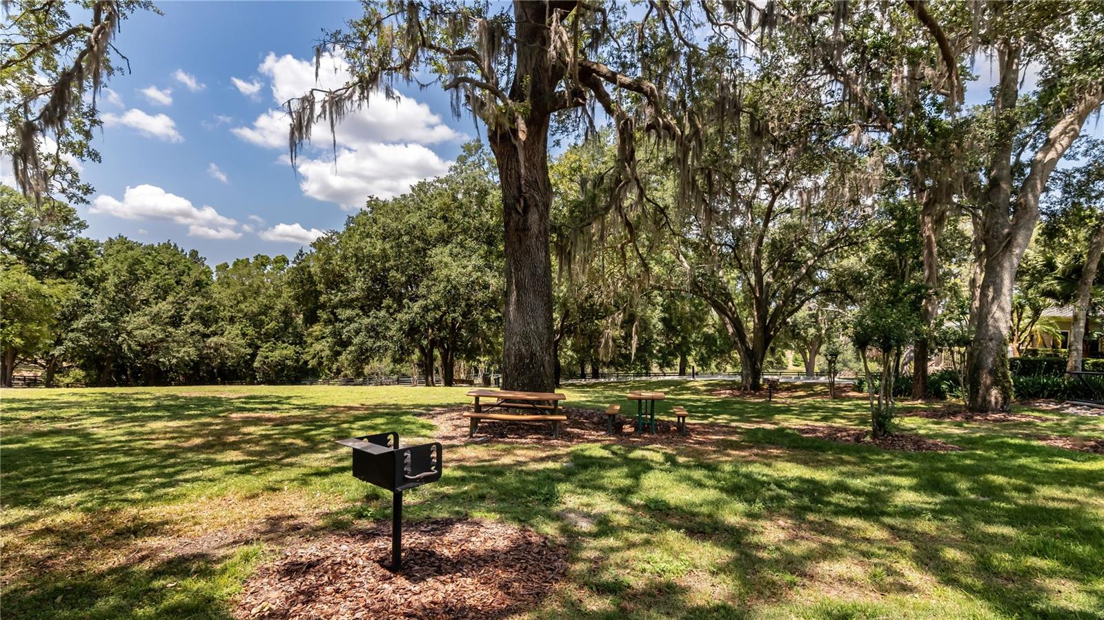 30546 LIPIZZAN TER, MOUNT DORA, FL, 32757