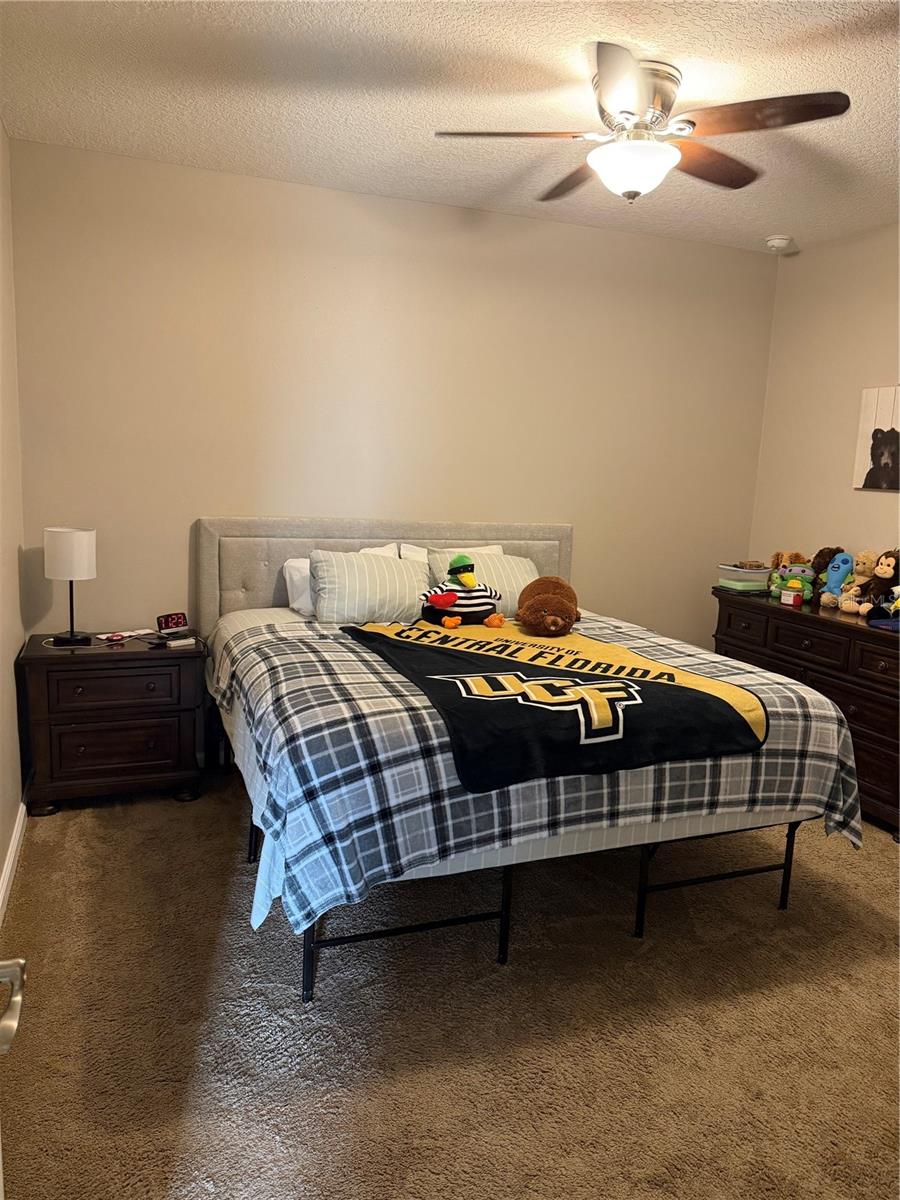 2504 CAVENDER CREEK RD, MINNEOLA, FL, 34715