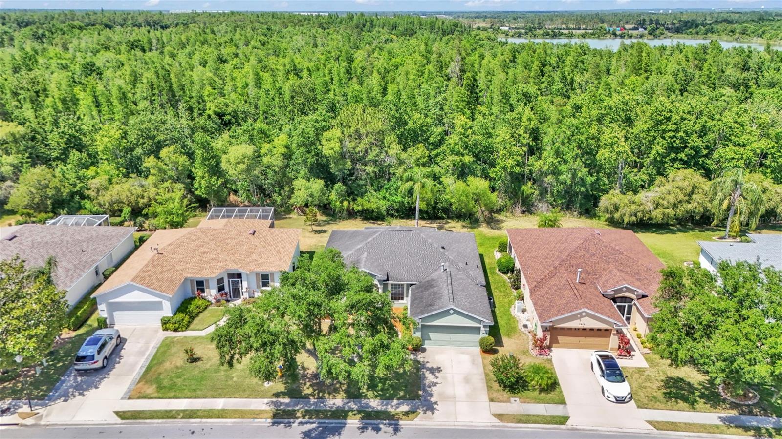 3252 BELLFLOWER WAY, LAKELAND, FL, 33811