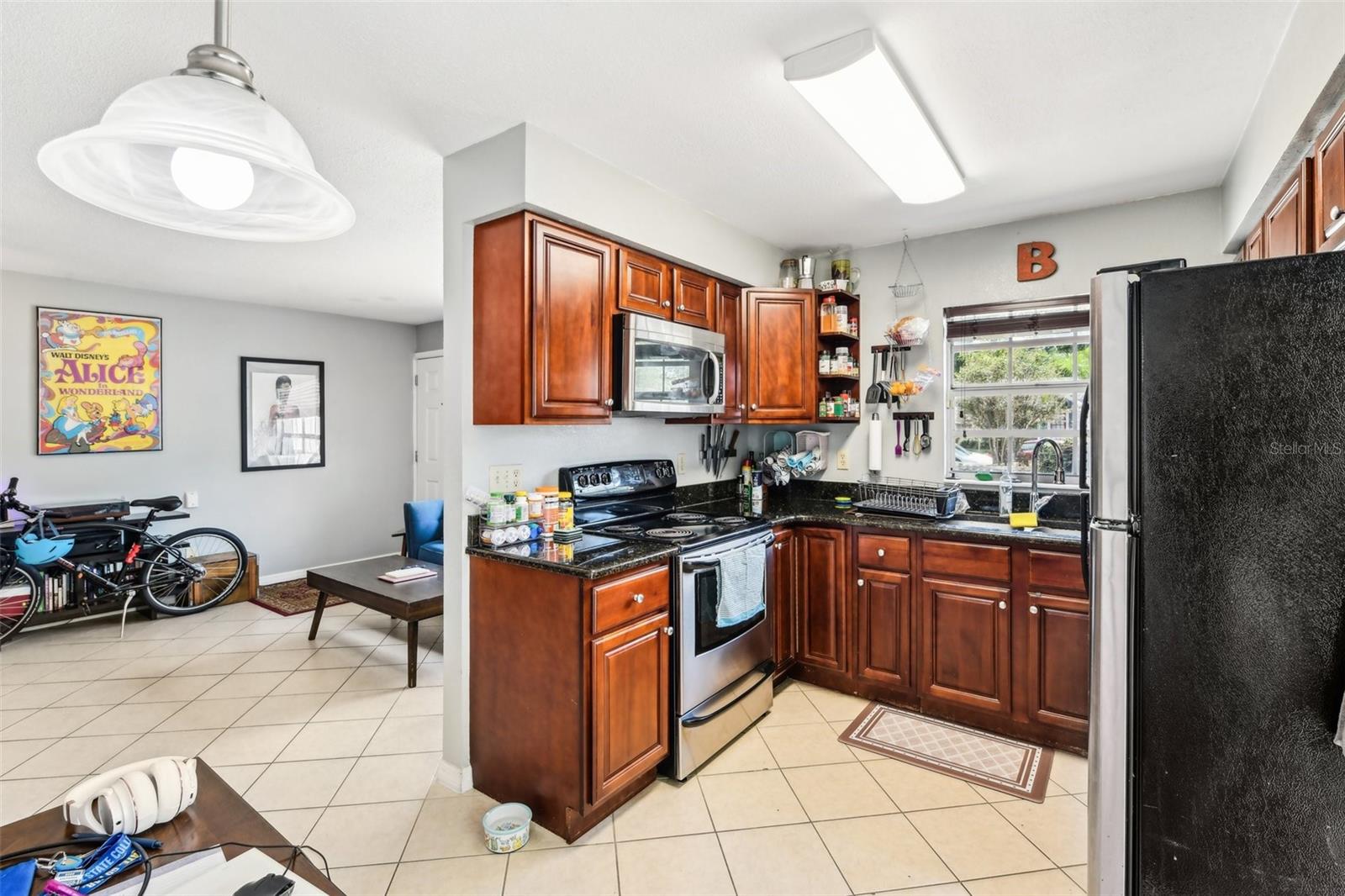 1239 E RIDGEWOOD ST, ORLANDO, FL, 32803