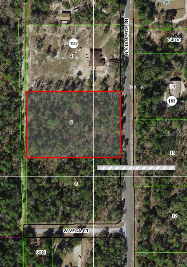 2348 N STAMPEDE DR, BEVERLY HILLS, FL, 34465