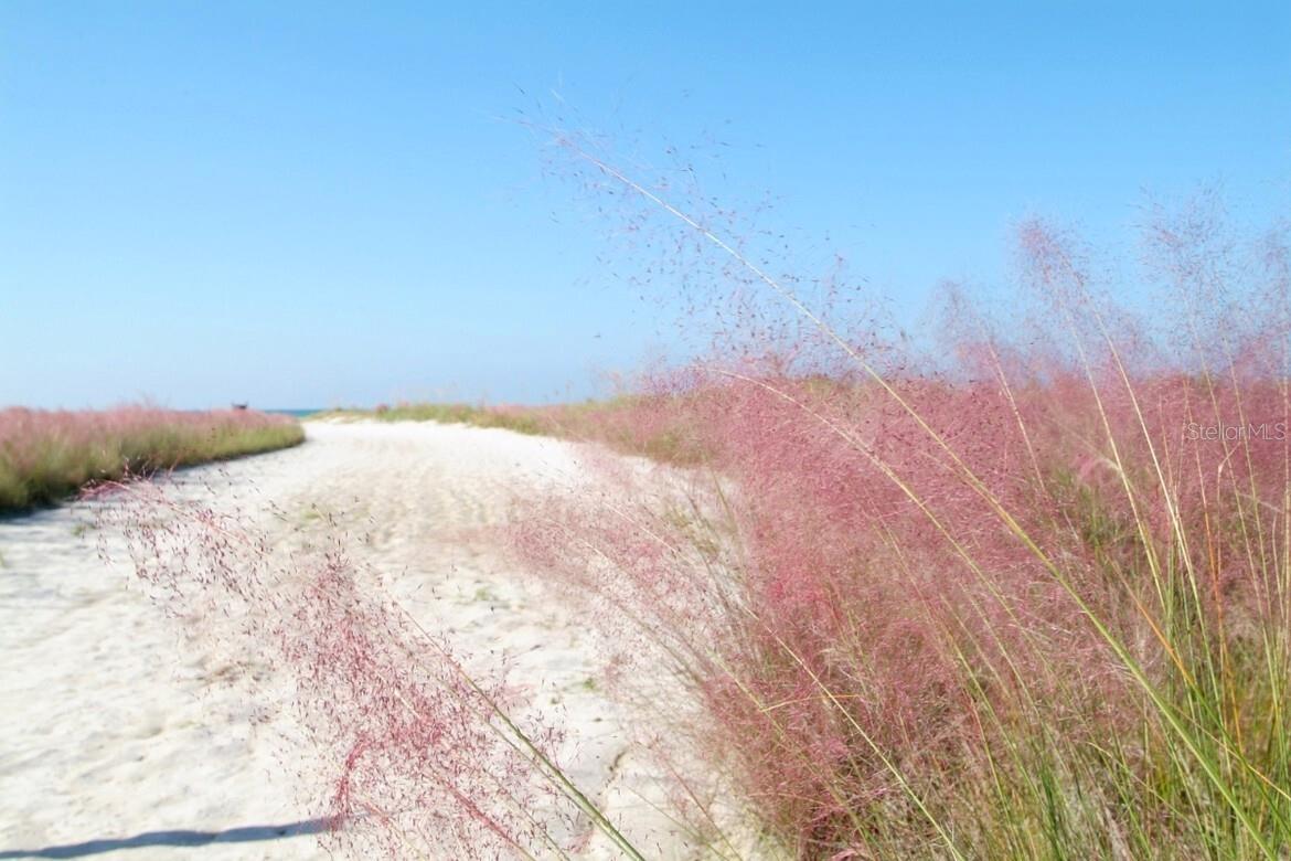 2365 NOVUS ST, SARASOTA, FL, 34237