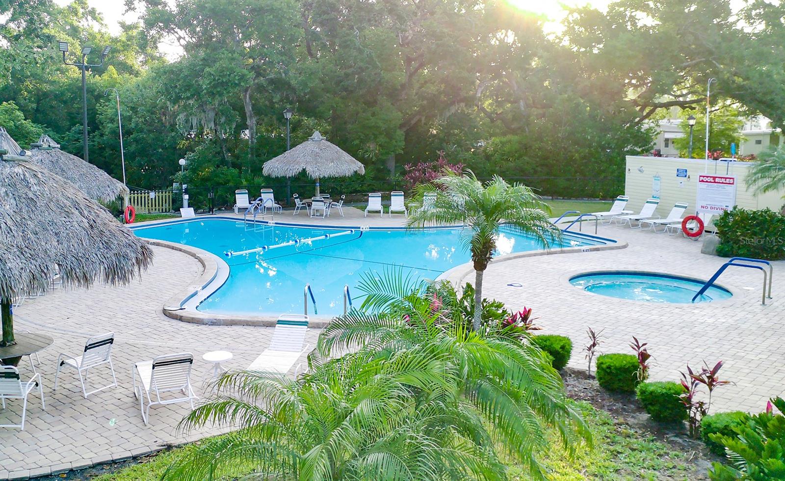 39 DEER TRAIL CT #42, SAFETY HARBOR, FL, 34695