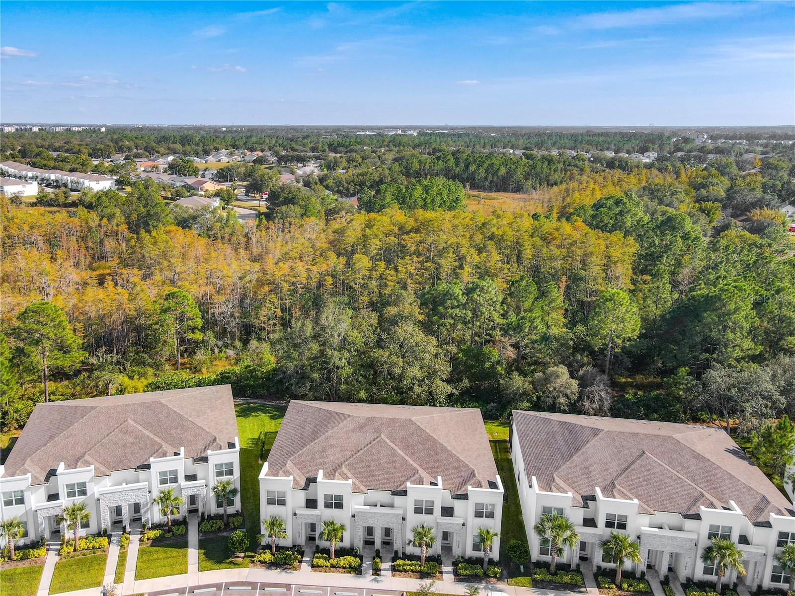 17230 BLESSING DR, CLERMONT, FL, 34714