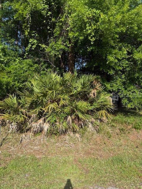 39 EGAN DR, PALM COAST, FL, 32164